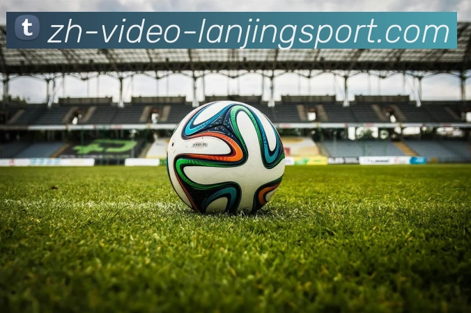 蓝鲸体育平台生态图