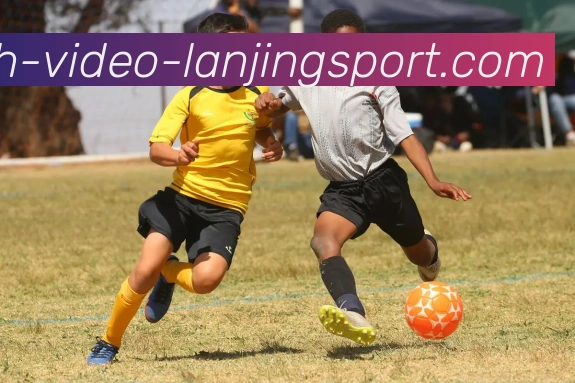 蓝鲸体育APP 封面图